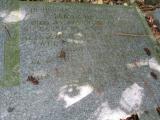 image of grave number 739582